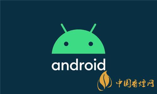 android11測試版有什么新功能,這些新功能了解一下