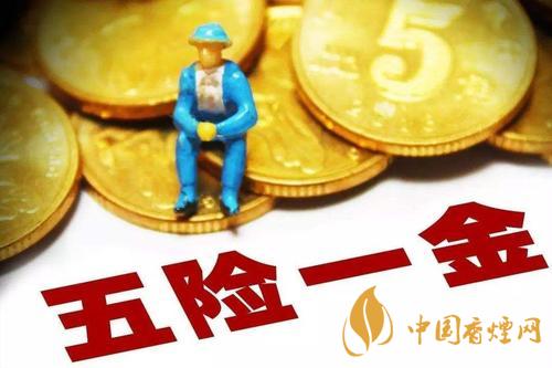 五險(xiǎn)一金單位和個(gè)人繳納比例