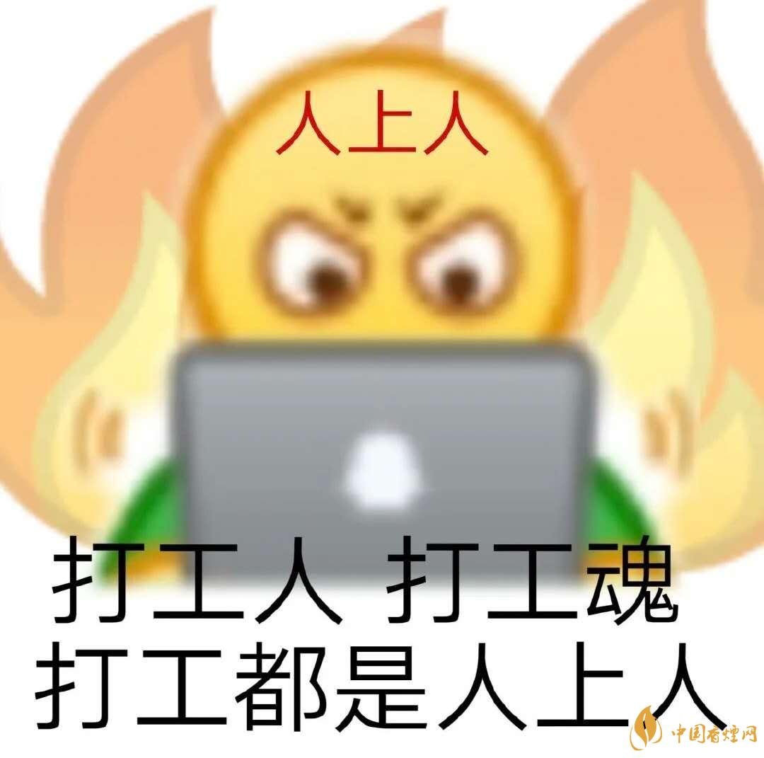 早安打工人是什么梗？早安打工人梗語錄大全