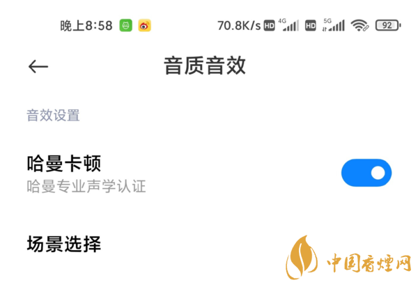 小米11音質(zhì)測(cè)評(píng) 小米11哈曼卡頓怎么開