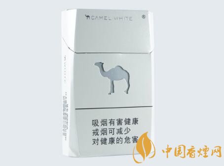 駱駝（白）圖片