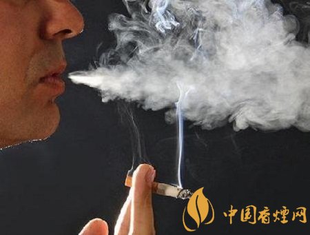 你不知道的吸煙危害 香煙不僅傷肺還傷胃！