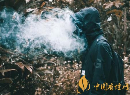 未成年人吸煙有什么危害 青少年吸煙對身體的危害介紹！